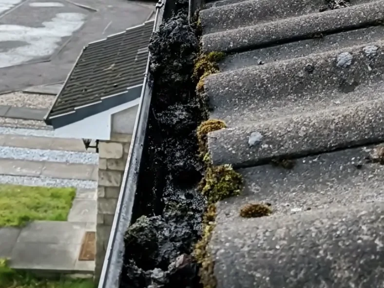 Nettoyage de gouttières à Compiègne
